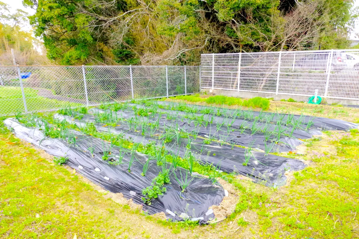 一本松保育園　内観４